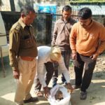 करंट से झुलसे बंदर को वन विभाग ने अस्पताल पहुँचाया